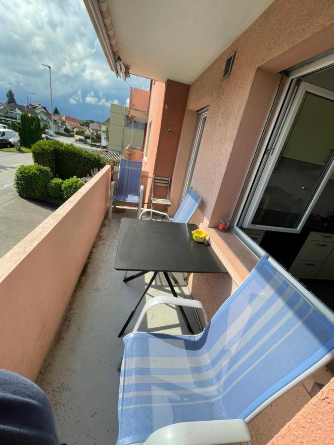 3-Room Apartment For Business Travelers & Families, Free Wifi & Tv With 70 Countries, Dazn, Sky, Netflix & Disney Wynau Exteriér fotografie
