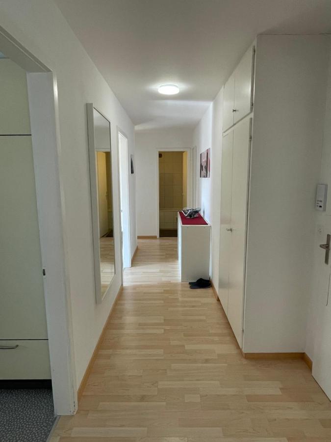 3-Room Apartment For Business Travelers & Families, Free Wifi & Tv With 70 Countries, Dazn, Sky, Netflix & Disney Wynau Exteriér fotografie