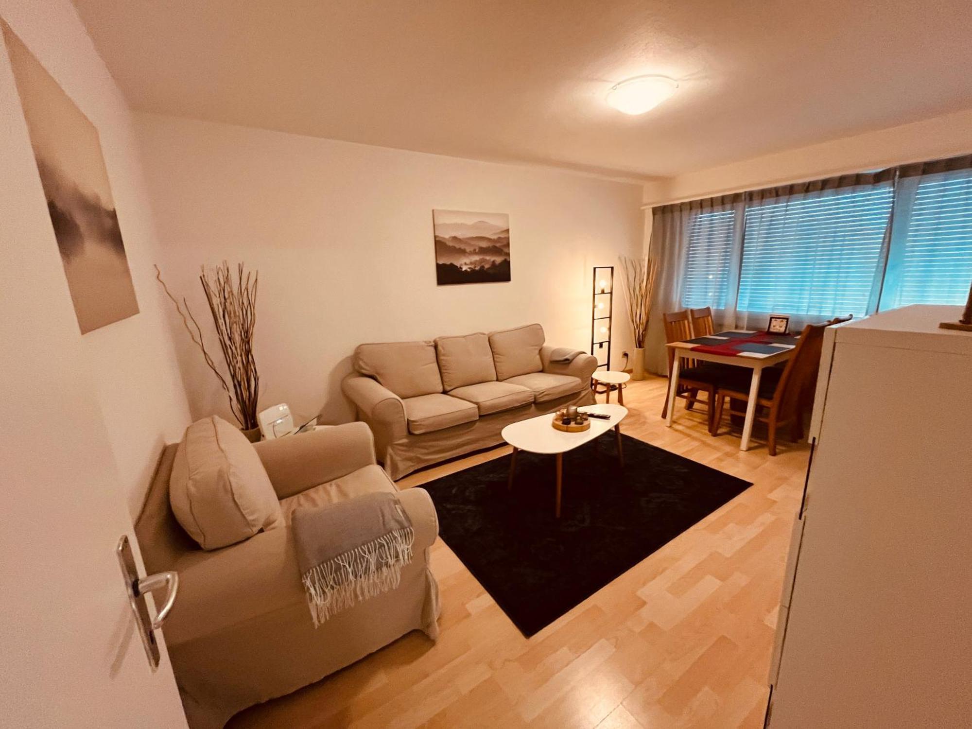 3-Room Apartment For Business Travelers & Families, Free Wifi & Tv With 70 Countries, Dazn, Sky, Netflix & Disney Wynau Exteriér fotografie