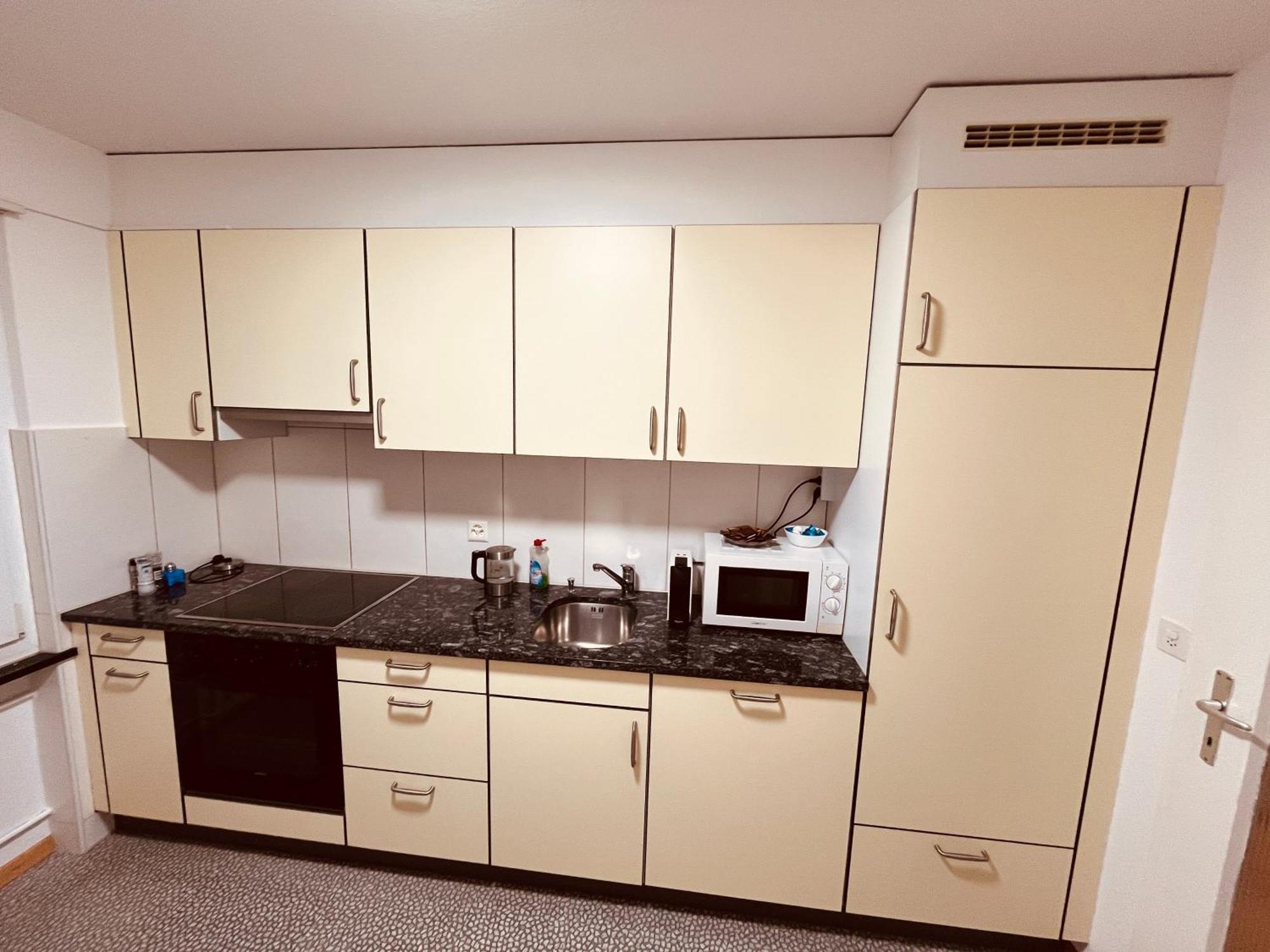 3-Room Apartment For Business Travelers & Families, Free Wifi & Tv With 70 Countries, Dazn, Sky, Netflix & Disney Wynau Exteriér fotografie